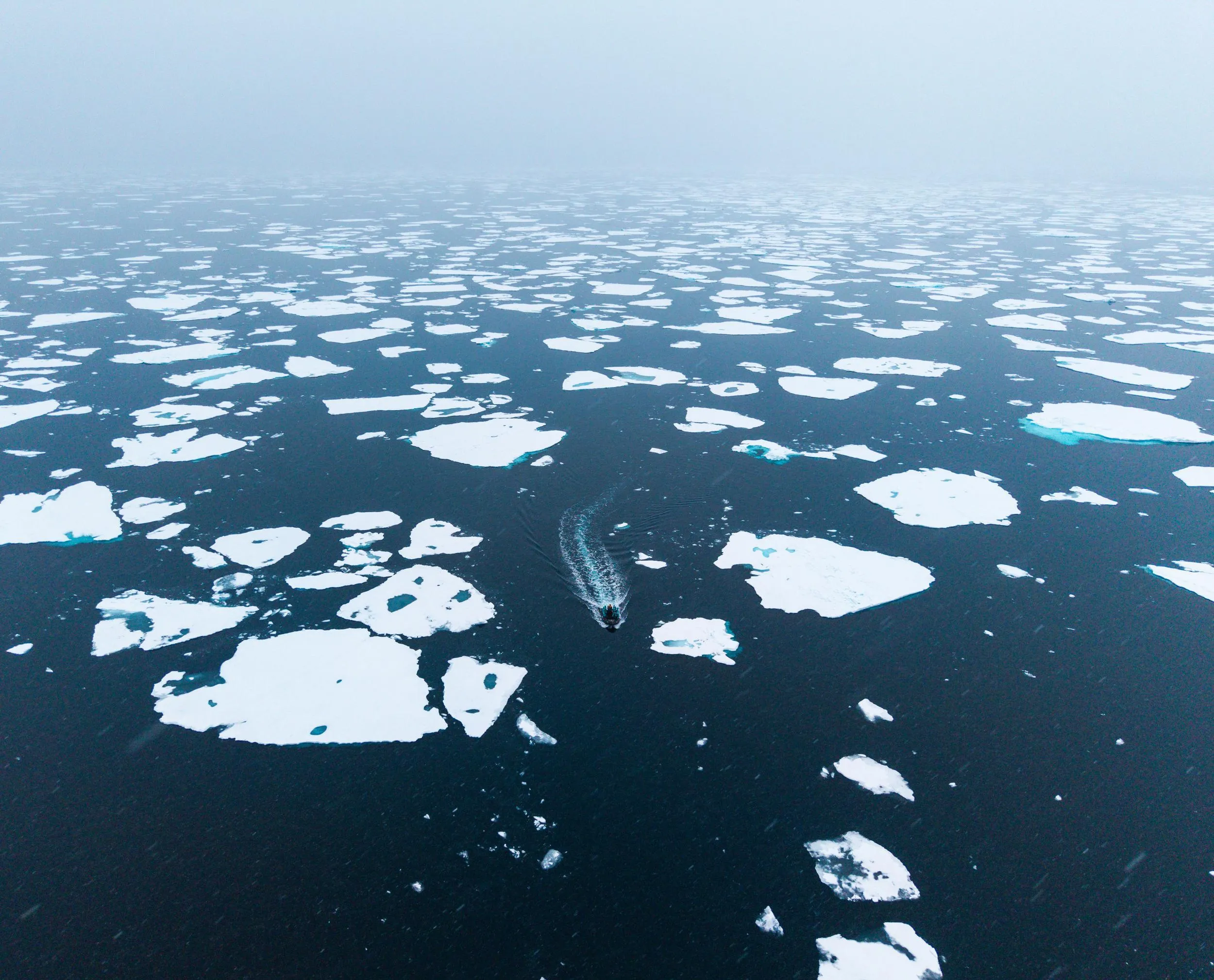 Expedition to Antarctica: Weddell Sea cruise